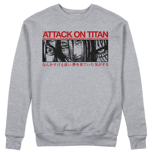 FELPA GIROCOLLO Eren’s Long Dream anime manga cult AOT attack on titan Grigio #chooseurcolor