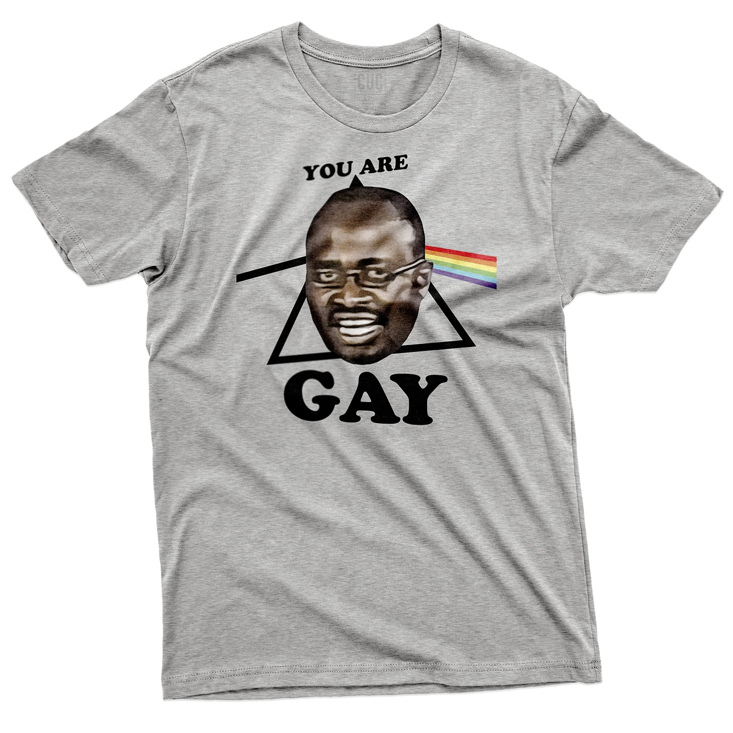 CUC T-Shirt YOU ARE GAY - Meme - Pride  #chooseurcolor