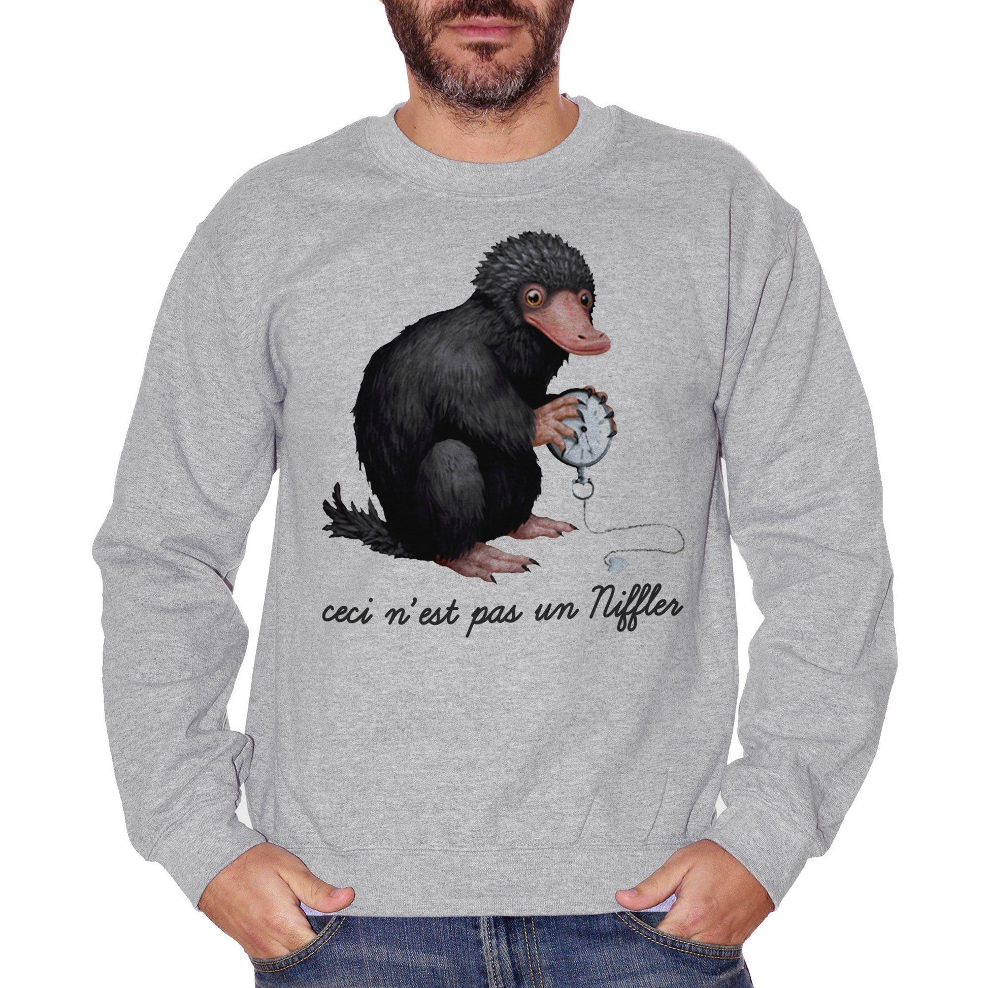 Gray Felpa Girocollo Animali Fantastici-Niffler Magritte Choose ur color - FILM CucShop